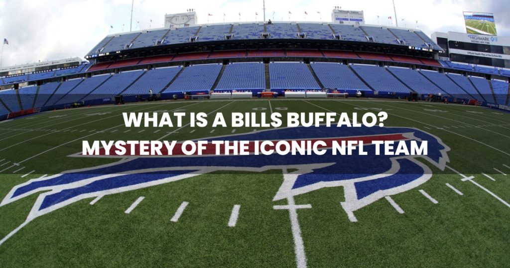 What Is a Bills Buffalo? Mystery of the Iconic NFL Team